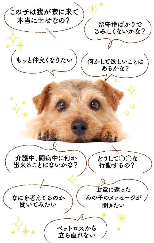 ・我が家に来て幸せなの？・もっと仲良くなりたい・して欲しいことはあるかな