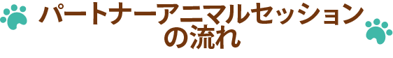 パートナーアニマルセッションの流れ